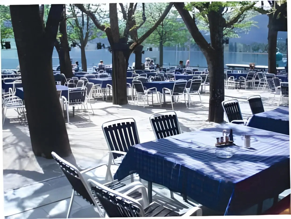 Seeboeckenhotel Zum Weissen Hirschen - Général