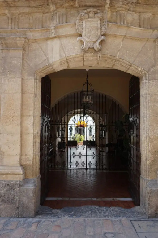 Apto. Palacio Marqués Vega Armijo