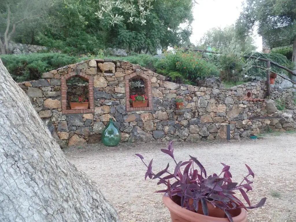 Agrestis Domus - фото 14