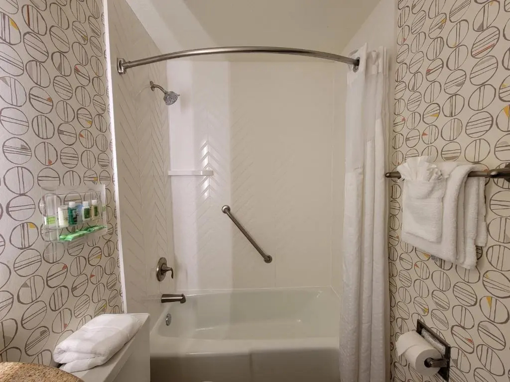 Holiday Inn Asheville East-Blue Ridge PKWY by IHG - Chambres