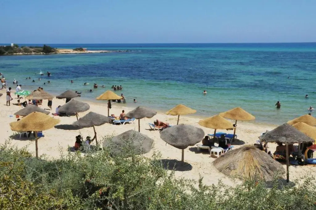 Beach & Waterfront