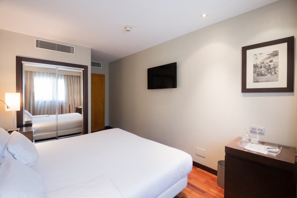 Hotel Ciudad de Valladolid - Général