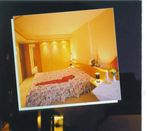 Hotel Dreilaenderblick - Général