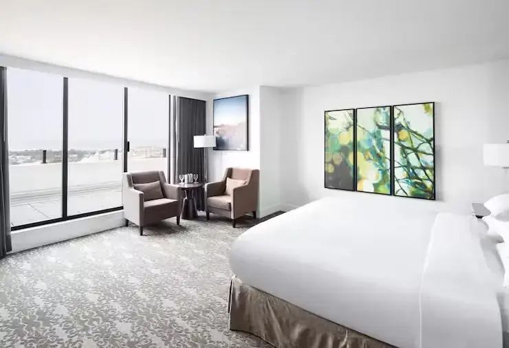 Penthouse Suite with city view