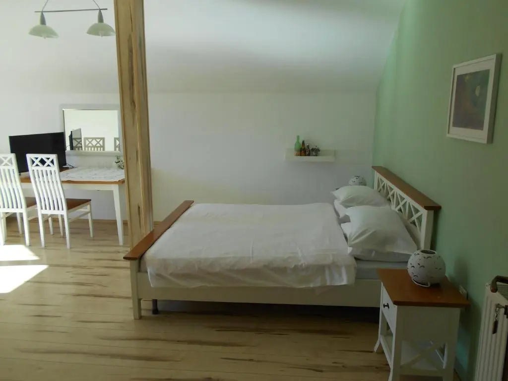 Standard Double room with mountain view (full double bed)
