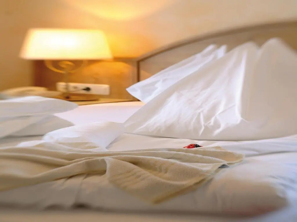 Hotel Salzburger Hof - Chambres