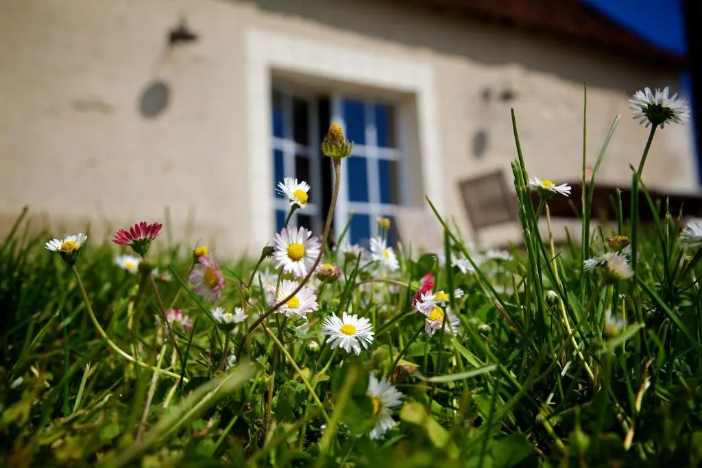Voir la photo 1 — Domaine de Matounet