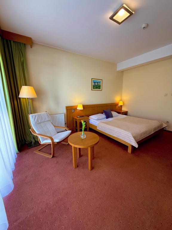 Hotel Restaurant Gondűző - Général