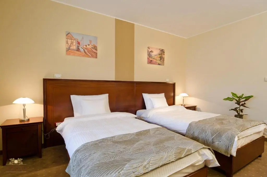 Standard Double room (twin beds)