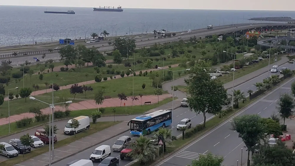 Beach & Waterfront