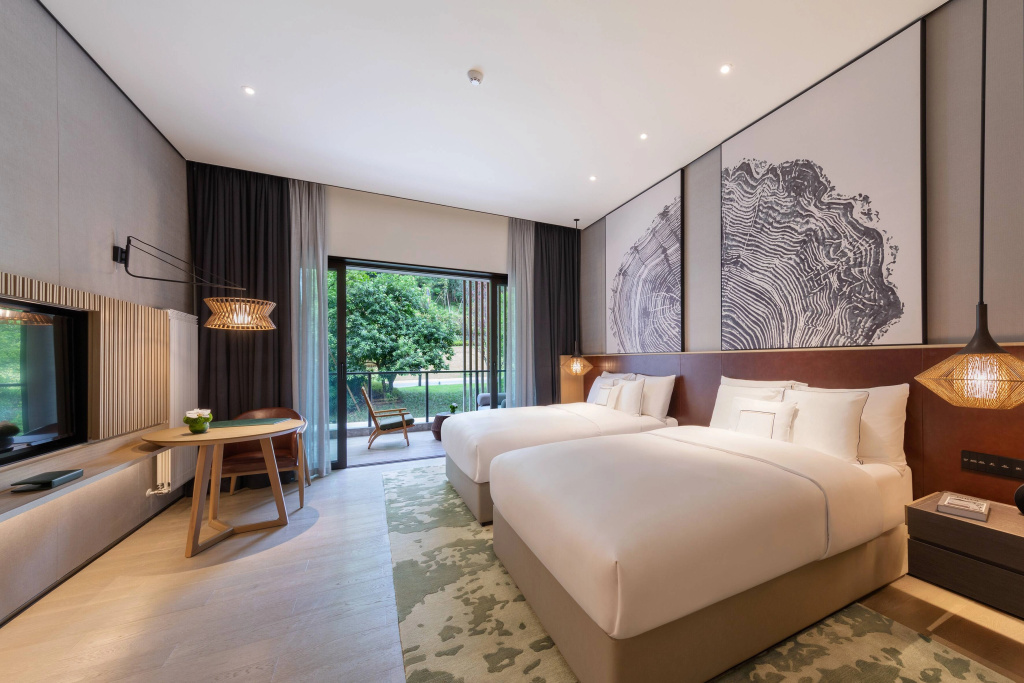 Standard room with land view