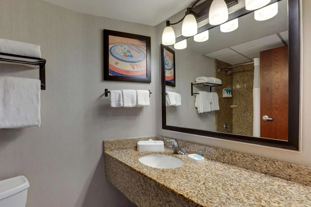 Drury Inn & Suites Phoenix Airport - Général
