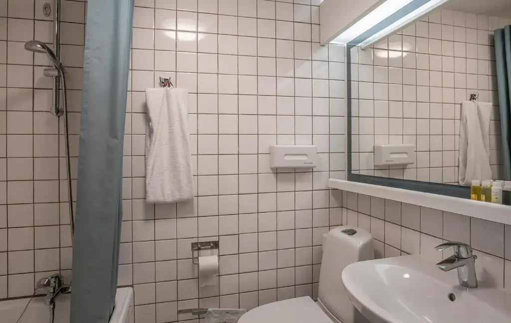 Standard Double room with city view (twin beds)