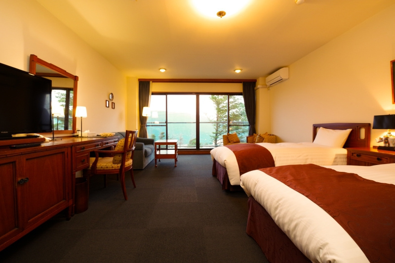 Standard Double room with mountain view (twin beds)