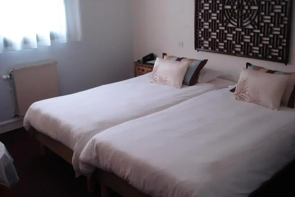 Standard Double room (twin beds)