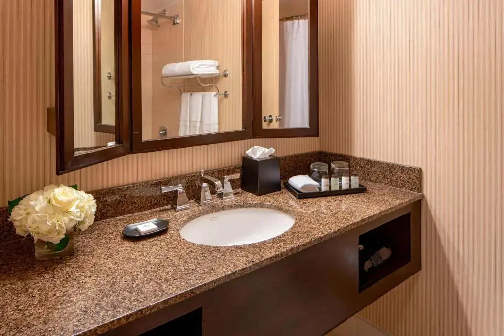 Sheraton Houston Brookhollow Hotel - Chambres