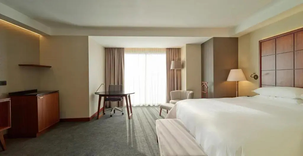 Deluxe Double room (full double bed)