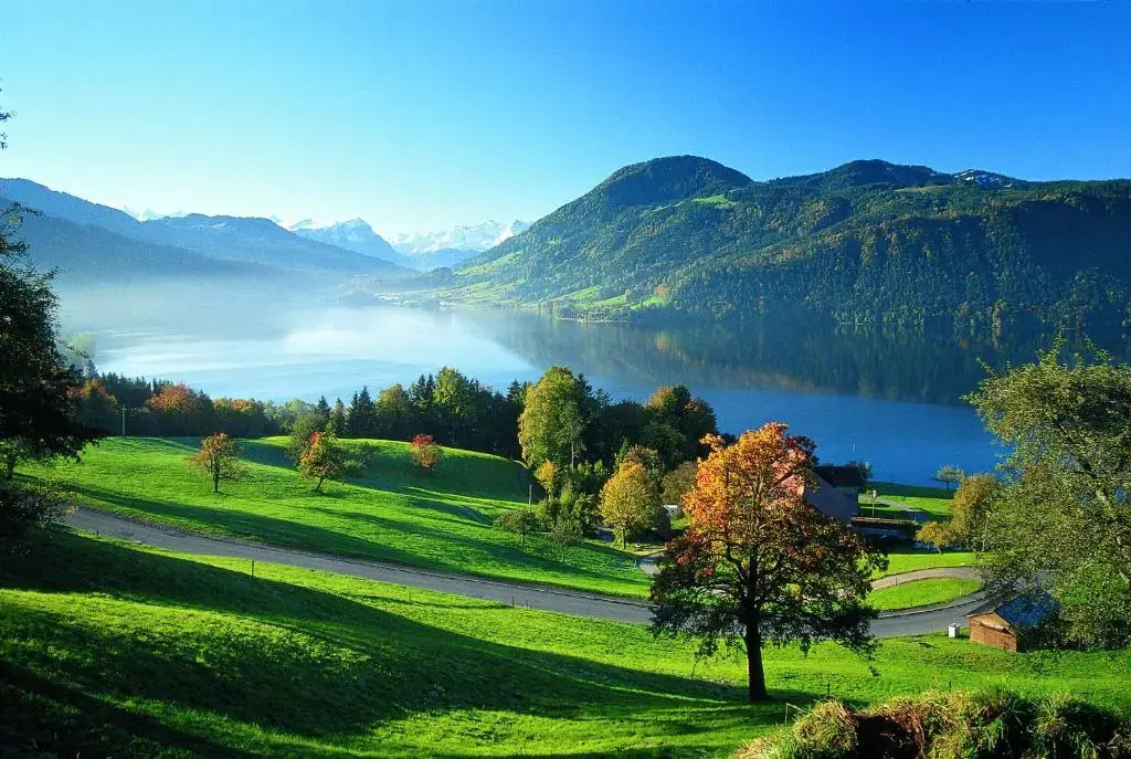 TOP SeminarHotel am Aegerisee Unteraegeri - Chambres