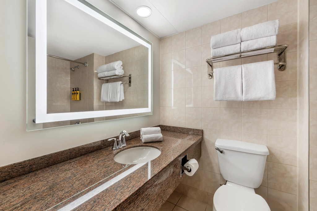 Best Western Plus Ottawa City Centre - Général