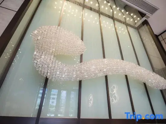 Balcony & Terrace