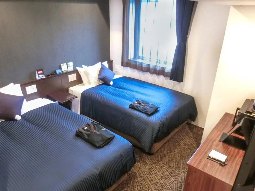 Standard Double room (twin beds)