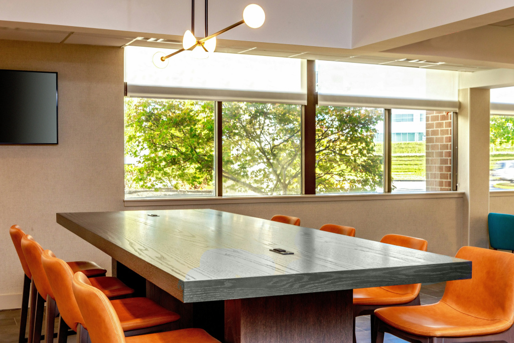 DoubleTree by Hilton Hotel Boston - Westborough - Général