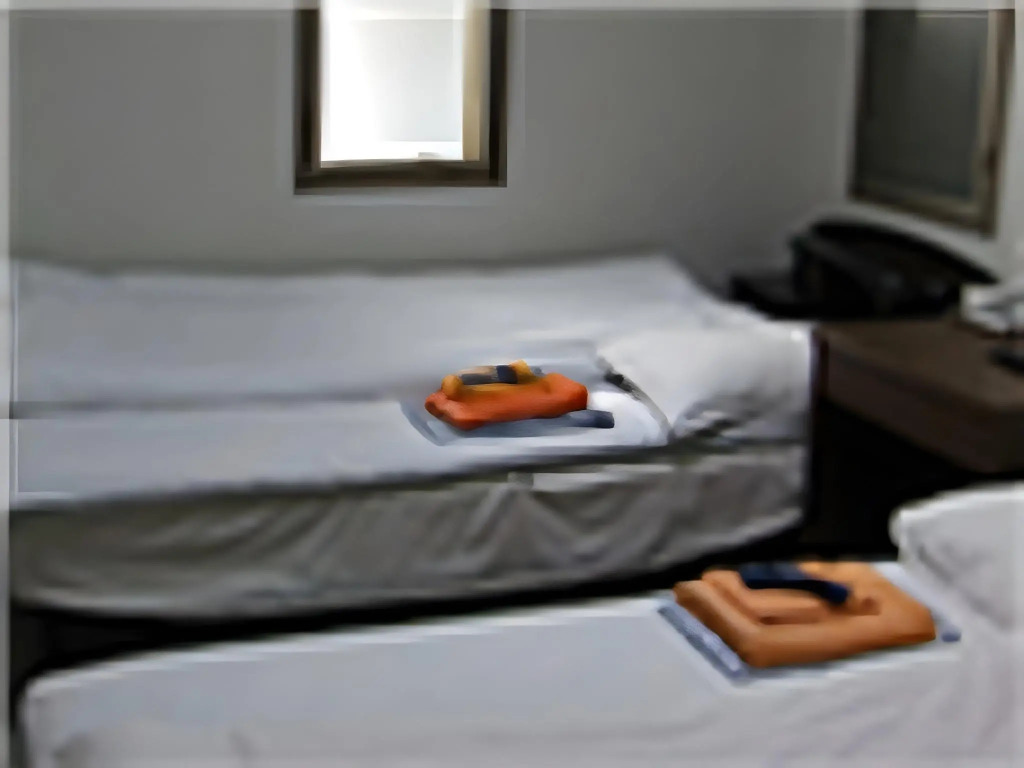 Ikawa Ryokan by null