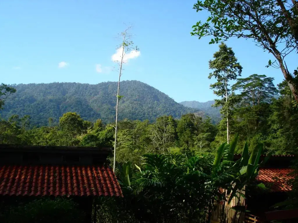 Selva Bananito Lodge - фото 12