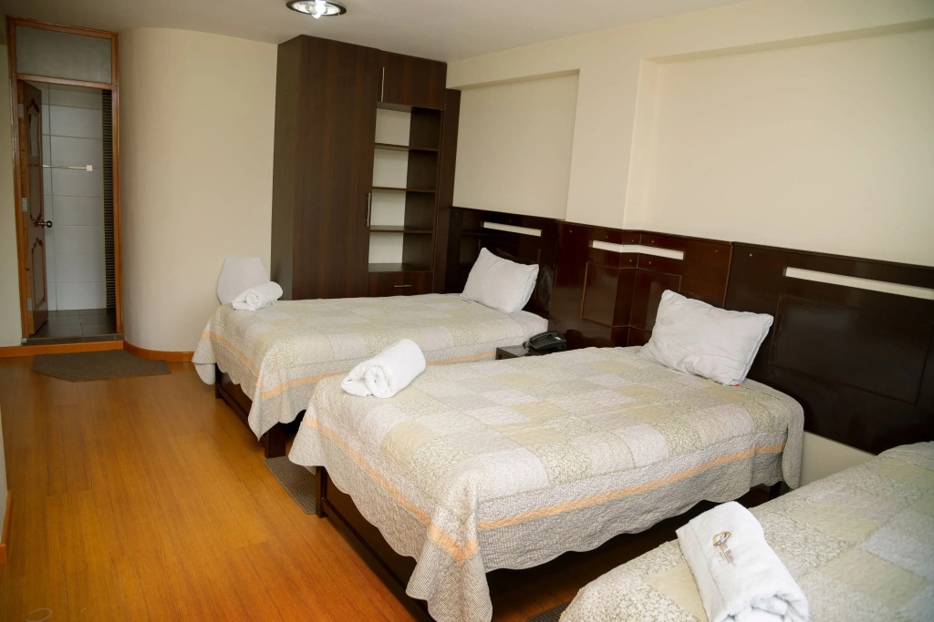 Hotel San Roman - фото 2