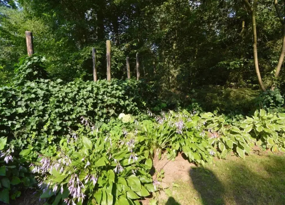 Apartment in Gelderland Near Nature Trails