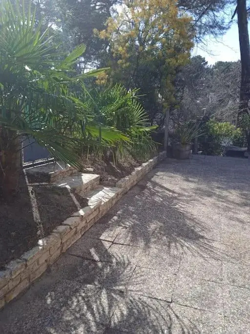 Voir la photo 1 — Maison au dessus du lac de Biscarrosse