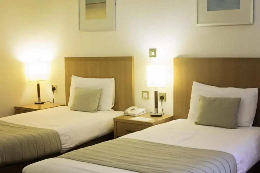 Standard Double room (twin beds)