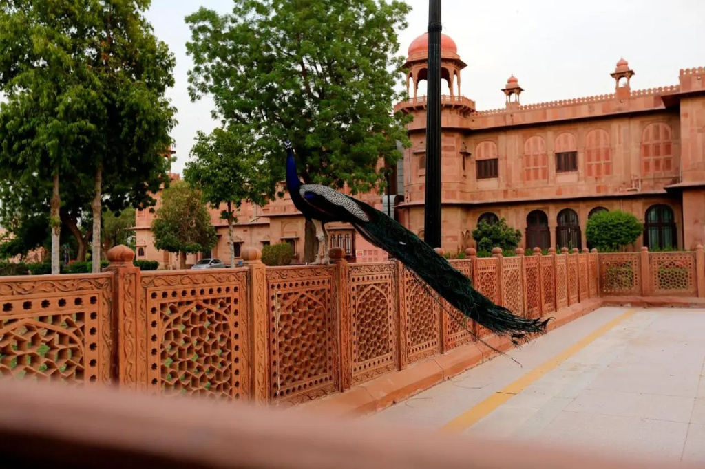 The Lallgarh Palace - A Heritage Hotel - Général
