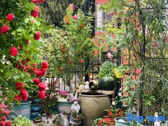 Yongding Coffee Garden B&B