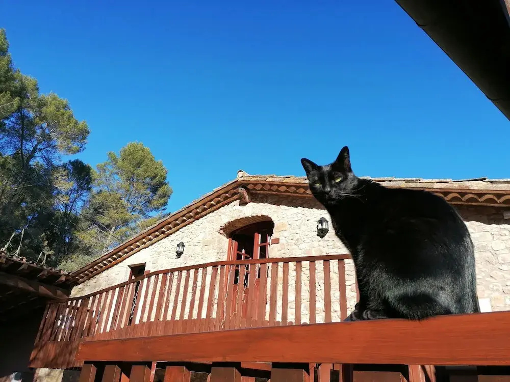 La Sala de Camos