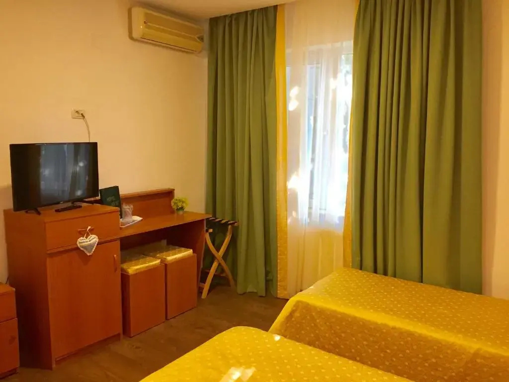 Standard Double room (twin beds)