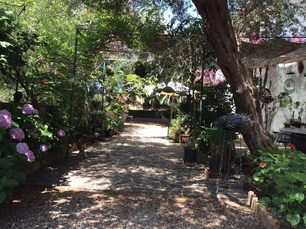 Image 11