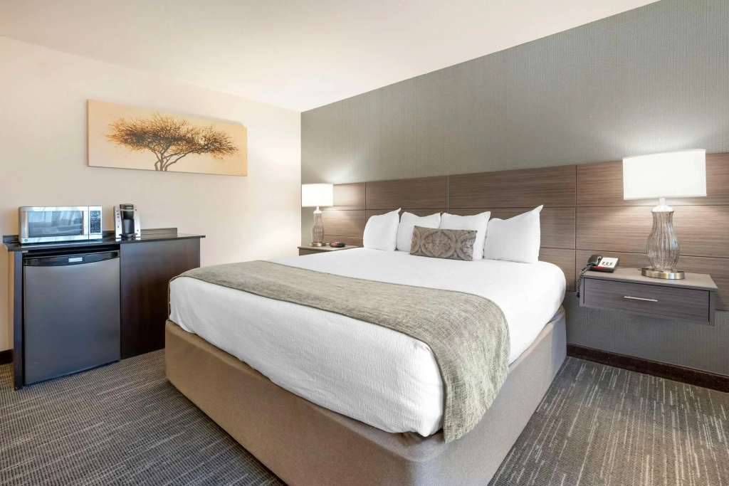 Best Western Plus City Center - Général