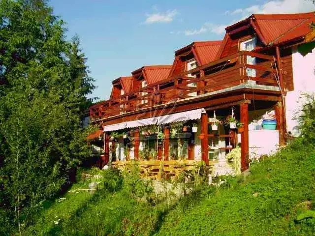 Pension Bran Ioana