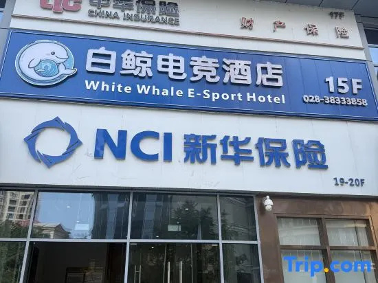 Beluga Hotel