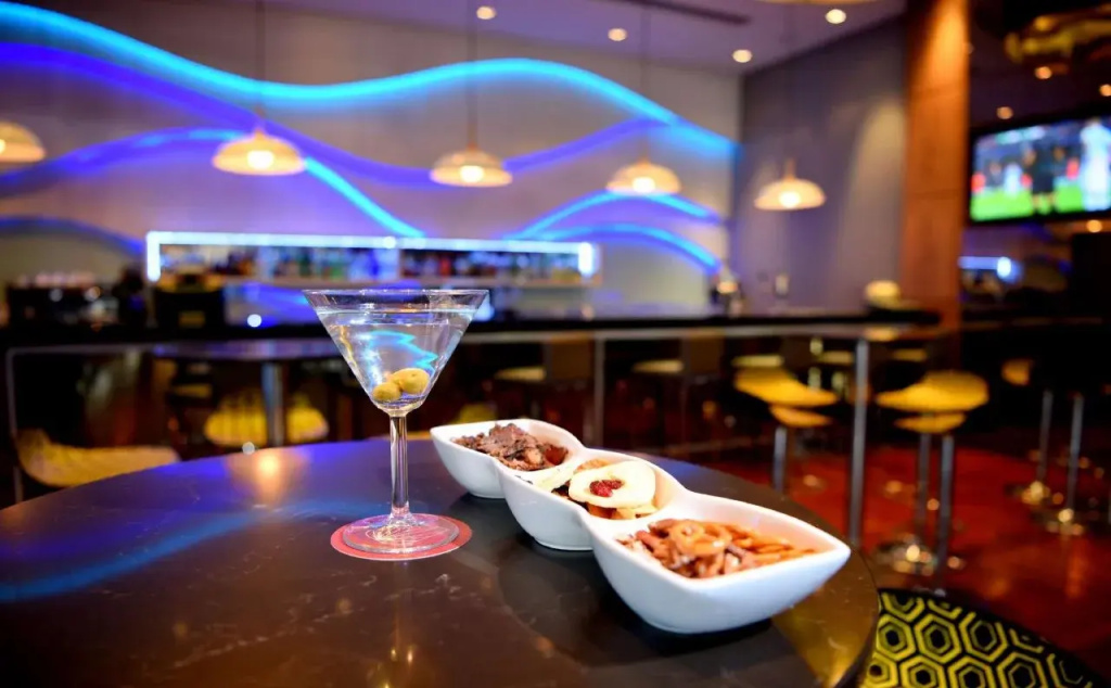 Radisson Blu Gautrain Hotel - Général