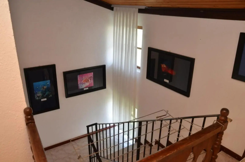 Hotel photo 34