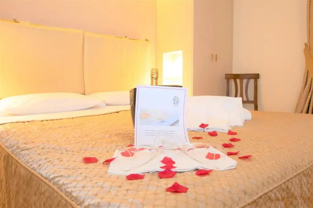 Superior Double room (full double bed)