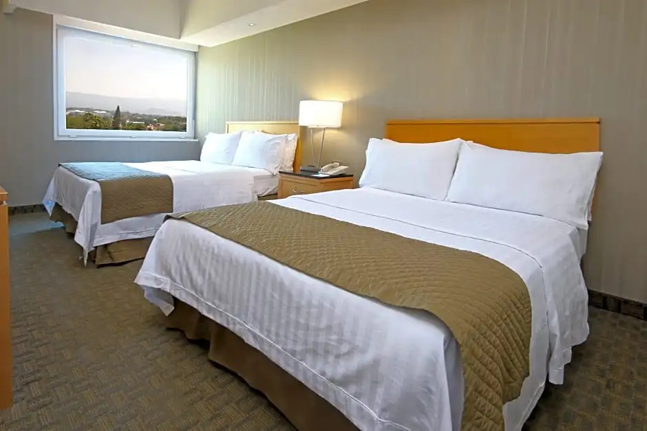1 Bedroom Quadruple Suite