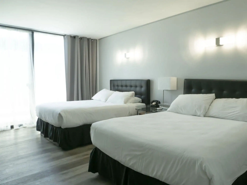 Park Plaza Lodge Hotel - Général