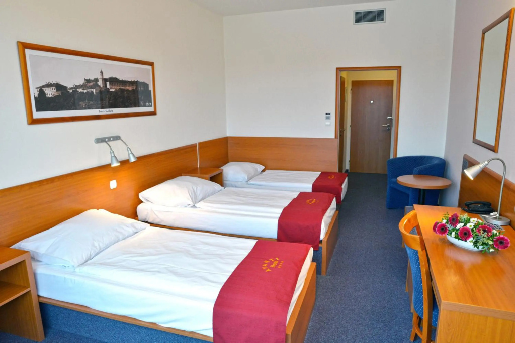 Avanti Hotel Brno - Général