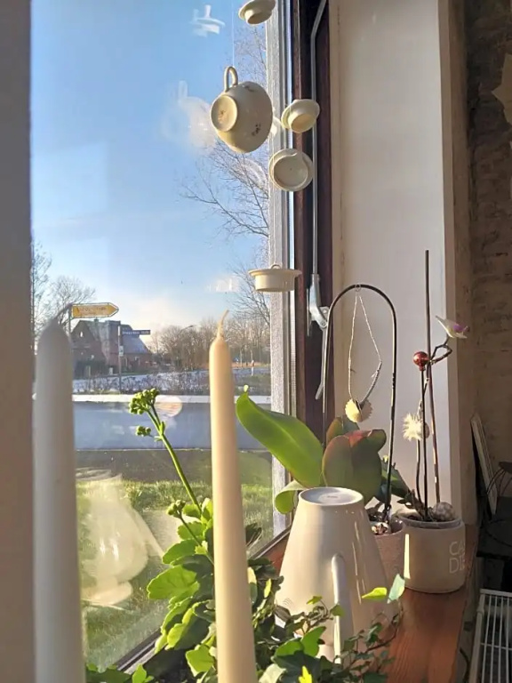 Balcony & Terrace