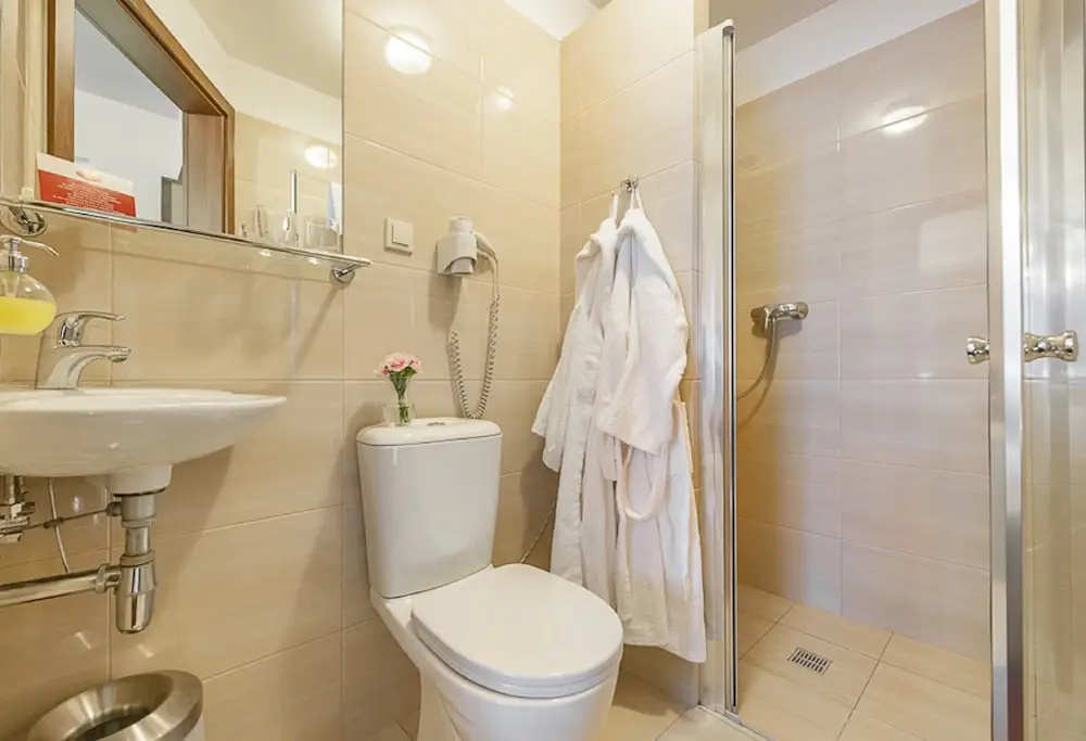 Hotel Alexander I - Chambres