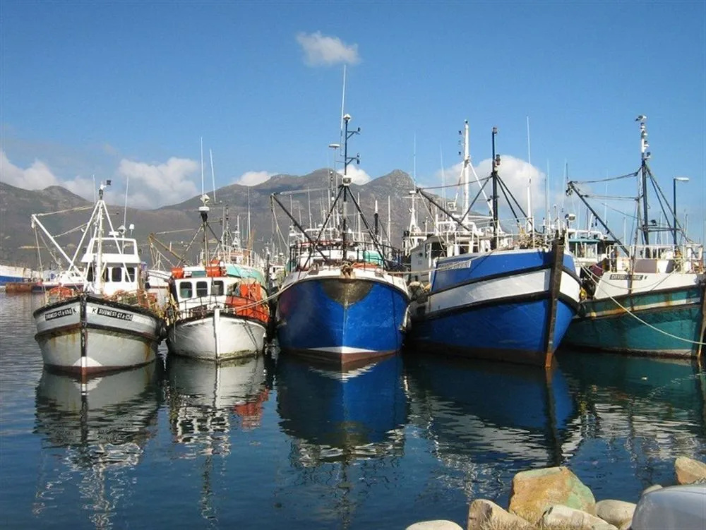Seacliffe Lodge - Général