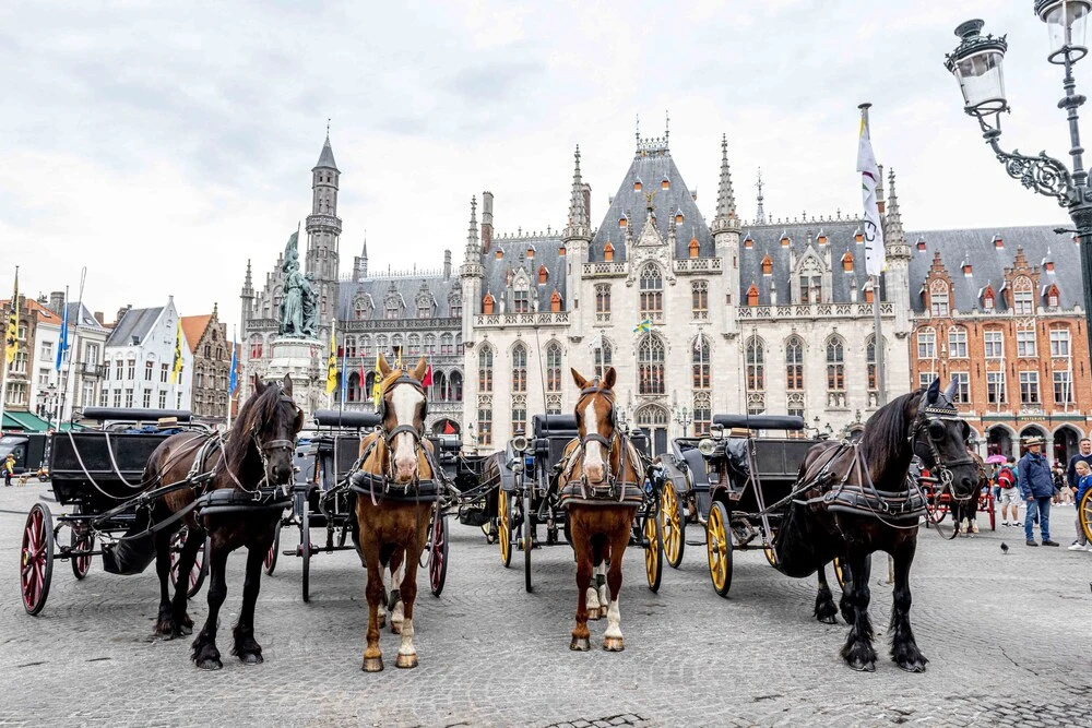 Mansion9 Bruges